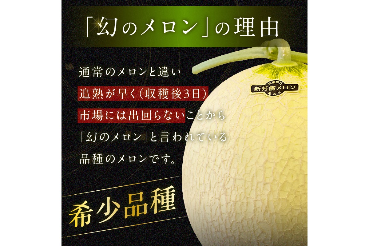 【先行予約／数量限定200】幻のメロン 新芳露 1玉（2026年7月中旬～発送）　DE00152