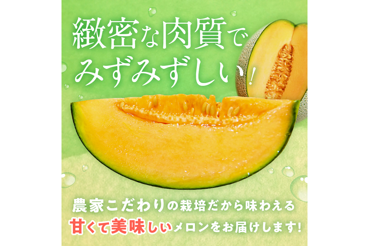 【先行予約／数量限定100】ゆめろんファームの赤肉メロン（2026年6月上旬～発送）　DE00154