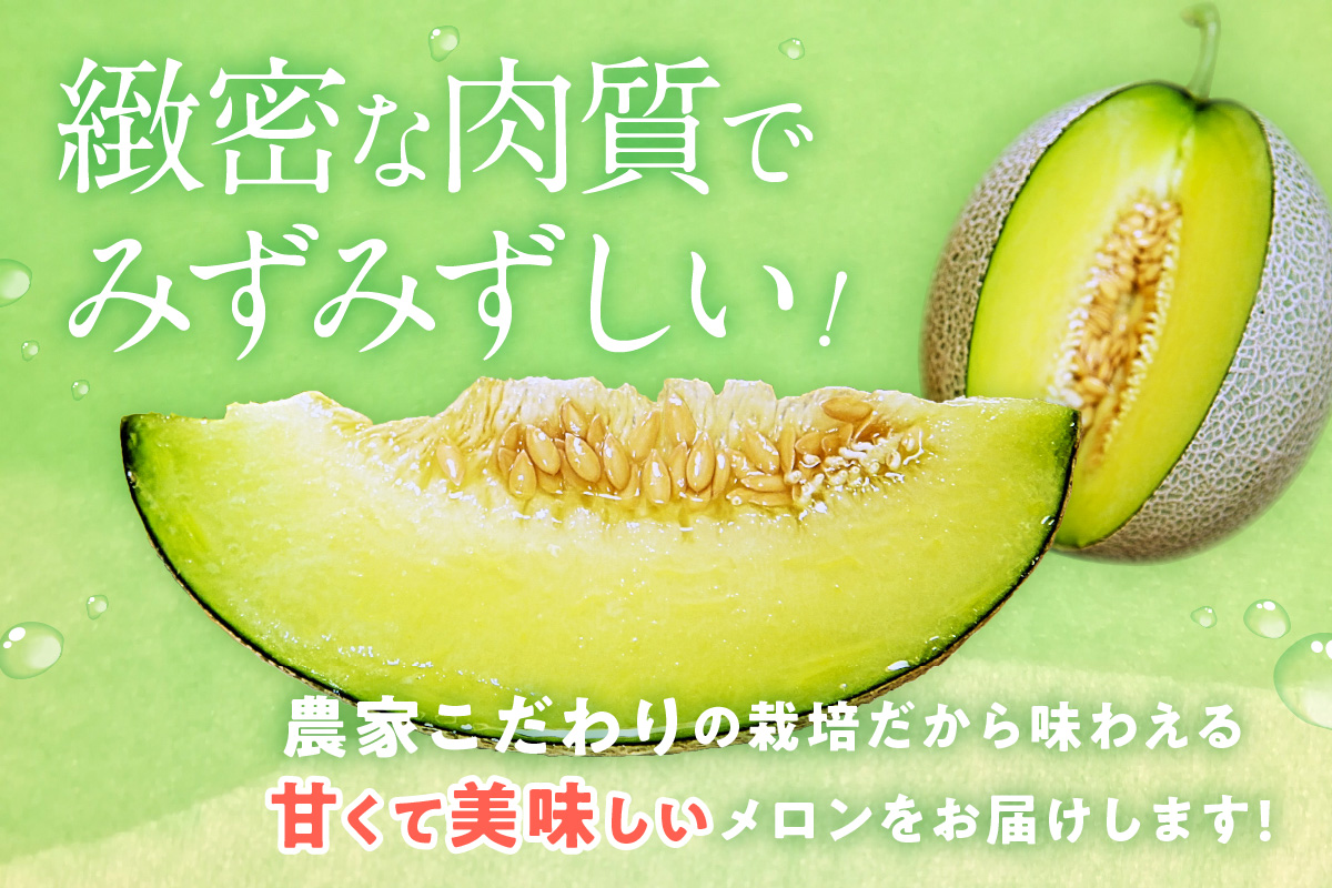 【先行予約／数量限定100】ゆめろんファームの青肉メロン（訳あり品）（2026年6月上旬～発送）　DE00156