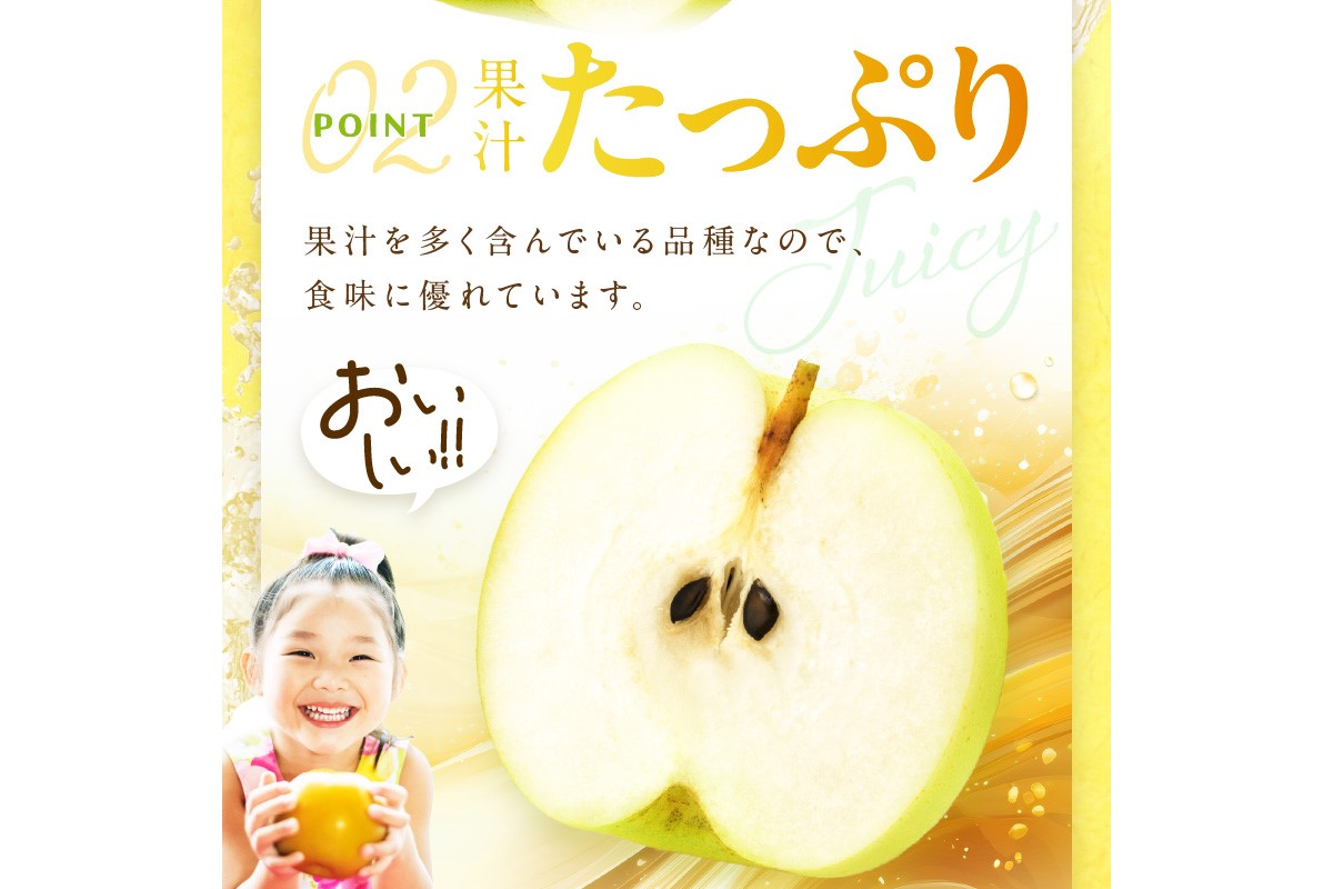 【先行予約／数量限定700】20世紀梨（訳あり） 5kg（10～16玉）（2026年8月下旬～発送）　DE00158