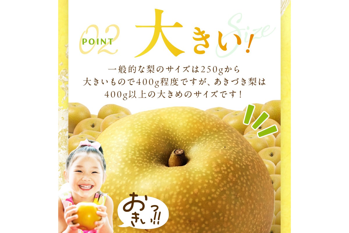 【先行予約／数量限定300】京丹後産 あきづき梨 5kg（8～12玉）（2026年9月中旬～発送）　DE00161