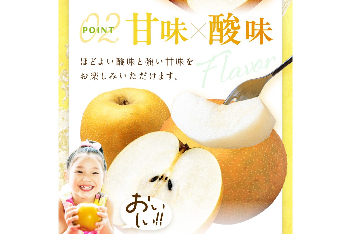 【先行予約／数量限定200】京丹後産 あきばえ梨 5kg（14～18玉）（2026年8月中旬～発送）　DE00162