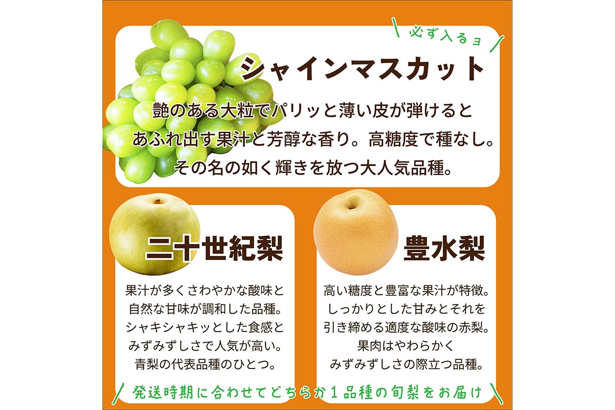 田園紳士厳選 シャインマスカット・梨セット　DE00142