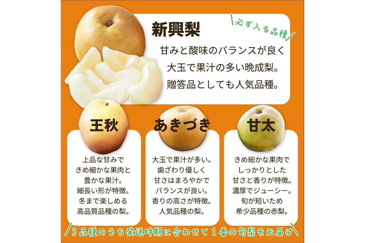 田園紳士厳選「梨好きさんのための梨セット」新興梨ともう1品種の計2品種セット　DE00173