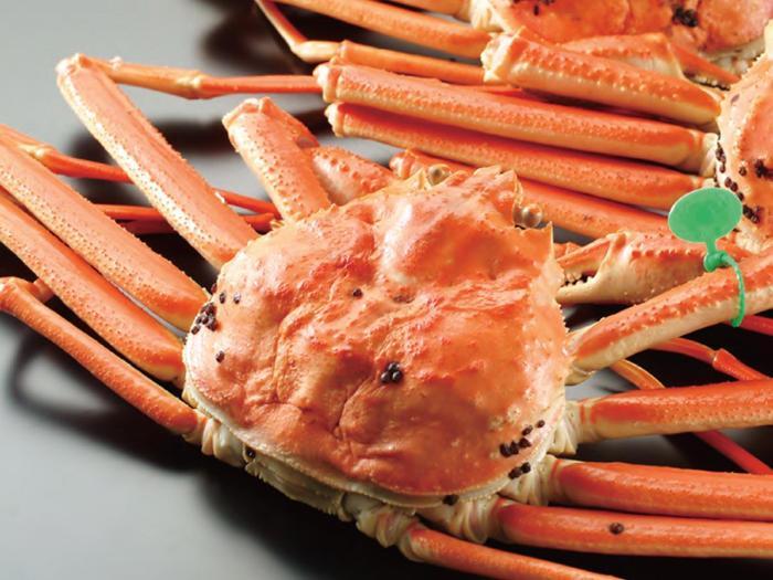 【幻のズワイ蟹】　　京丹後産　茹で間人蟹（中）　鮮度抜群、浜茹でにてお届け！！ 600g級×2杯　YK00091