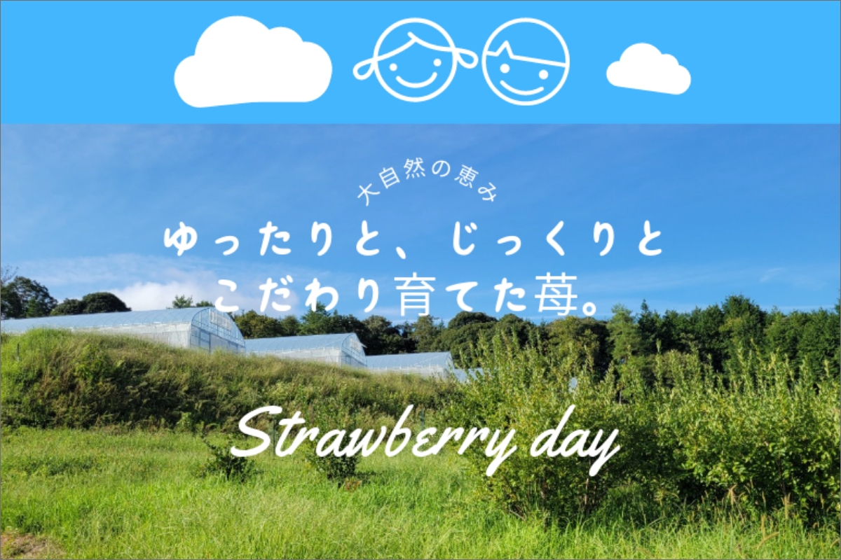 【先行予約】2026年産 京都 蜜いちご（あきひめ）（大サイズ（6粒または8粒）×2パック）約450g（2026年1月上旬～発送）　FM00010