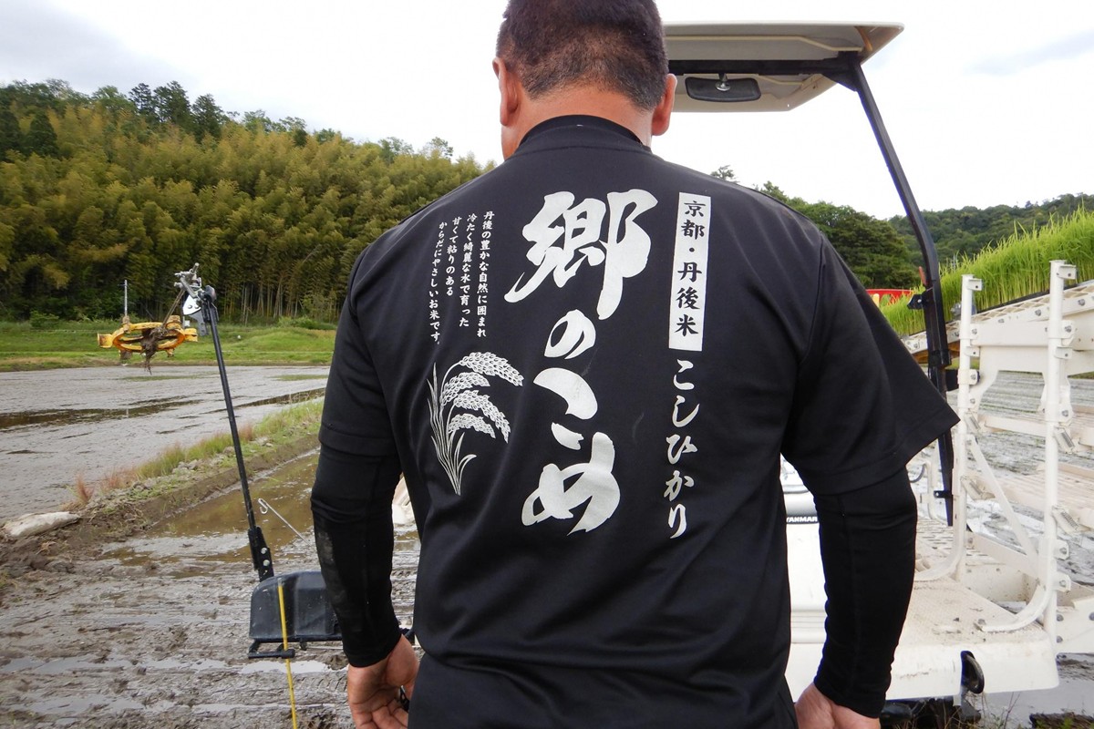 京都・網野郷産 特別栽培米コシヒカリ 玄米5kg　GG00001