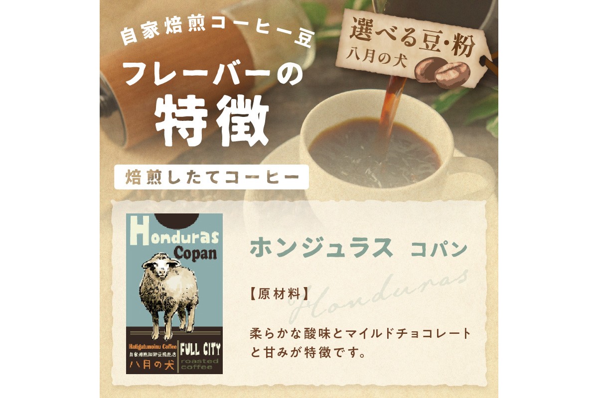 【栽培期間中農薬不使用】自家焙煎コーヒー豆 ホンジュラス　コパン 500g（250g×2） 約50杯分 小分け　豆・粉 選べる　HA00025