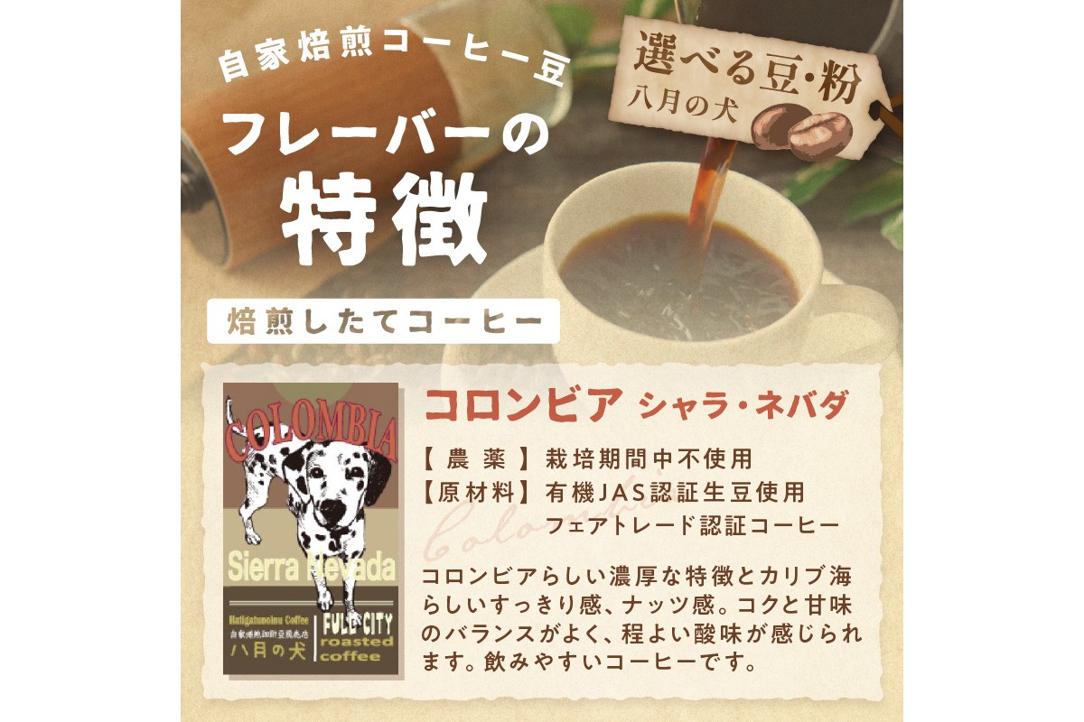 【栽培期間中農薬不使用】自家焙煎コーヒー豆 コロンビア シエラネバダ 500g（250g×2） 約50杯分 小分け　豆・粉 選べる　HA00026