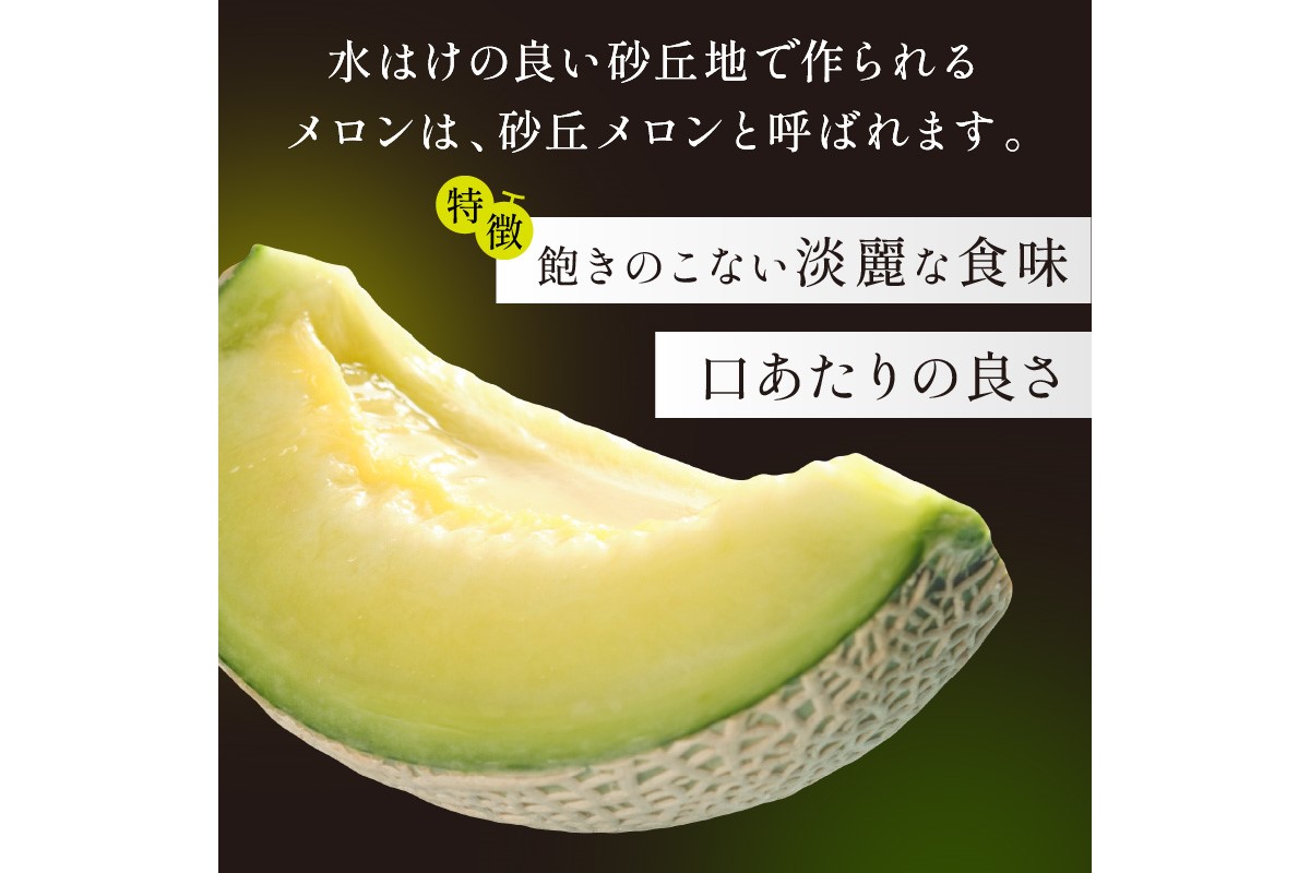 【先行予約／数量限定450】京丹後産 砂丘メロン 大玉2L以上 2玉（2026年7月下旬～発送）　HF00012