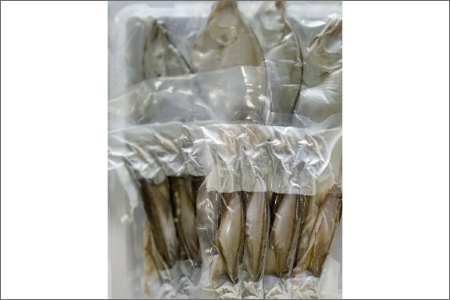 間人港 瞬冷ひもの Cセット（8人用）　HI00005