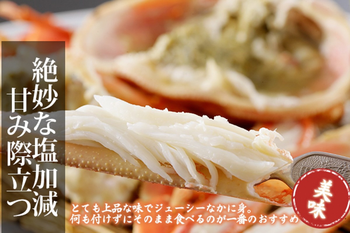 【訳あり！指落ち松葉がに】山陰沖ゆで松葉がに 1ｋｇ～1.1ｋｇ 超特大サイズ（1月～3月発送）／北畿水産　HK00255