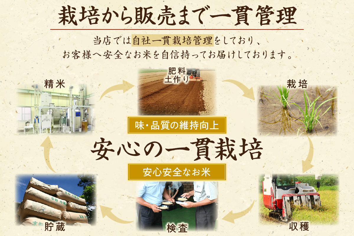 京都・丹後コシヒカリ 無洗米 10kg（5kg×2袋）米 お米 コシヒカリ ふるさと納税 無洗米 ふるさと納税 米 ふるさと納税 お米 ふるさと納税 コシヒカリ 農家応援 生産者応援 送料無料　HM00011S