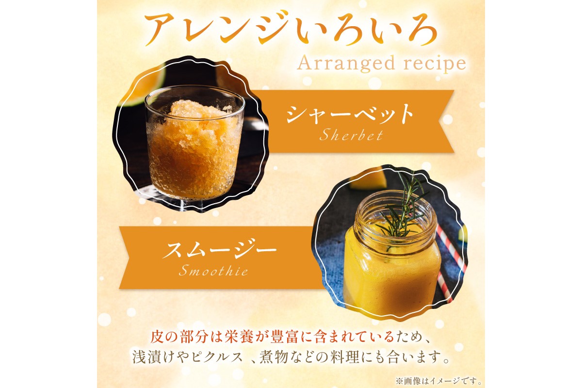 【先行予約／数量限定50】夕日ヶ浦すいか（金色羅皇） 1玉（2026年7月中旬～発送）　果物 くだもの スイカ 西瓜  ふるさと納税 スイカ ふるさと納税 先行予約 フルーツ ふるーつ 甘い 京都 丹後 高級　JK00042