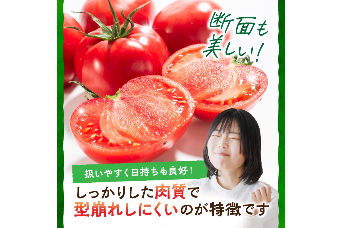 【先行予約】京丹後産・京トマト 4kg（12～24玉） 春夏発送（2026年5月中旬～発送）　JK00034