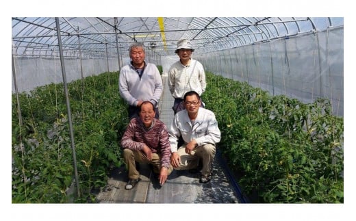 【先行予約】京丹後産・京トマト 4kg（12～24玉） 春夏発送（2026年5月中旬～発送）　JK00034