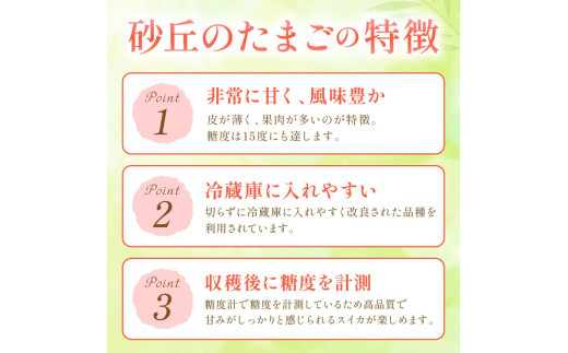 【先行予約／数量限定100】砂丘のたまご（小玉スイカ） 1玉（2026年6月中旬～発送）　JK00032