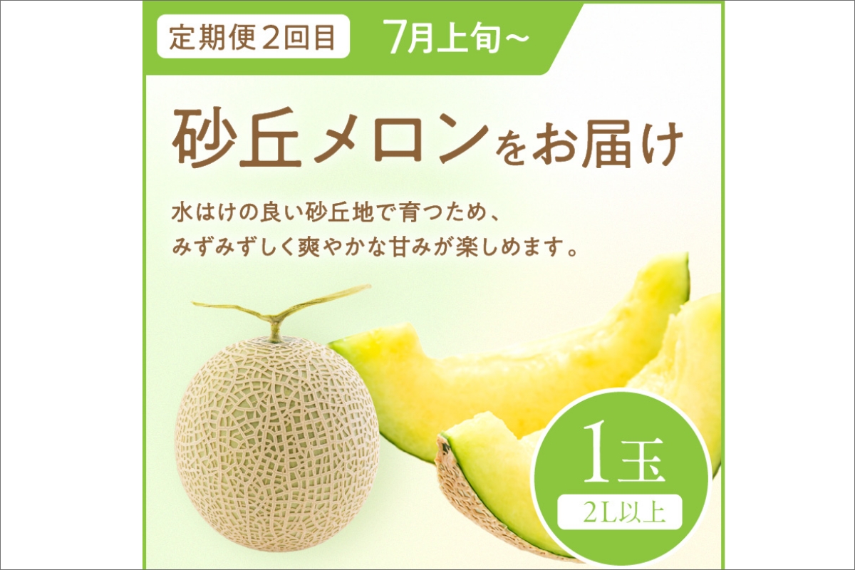 【先行予約】道の駅がおすすめする夏のフルーツ定期便～すいか・メロン～　KM00007