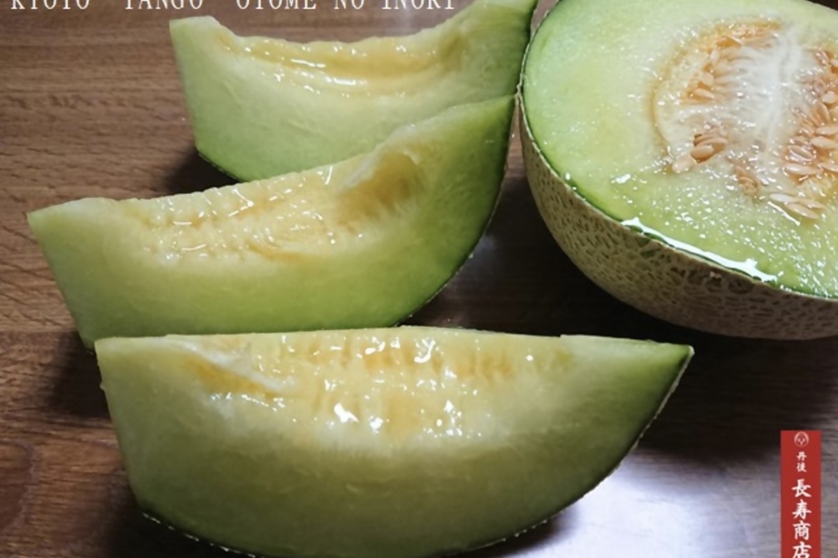 【先行予約】京都丹後久美浜産　砂丘メロン【オトメの祈り】　2Lサイズ／1玉入（2026年7月中旬～発送）　LP00003