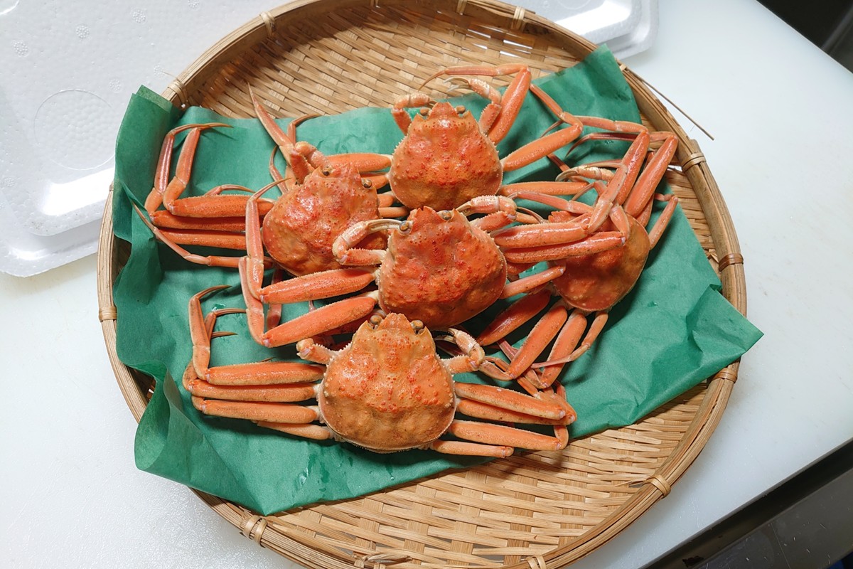 間人漁港仲買人の丸友鮮魚三代目・自慢の間人産セコガニ≪茹で≫5匹セット（1匹130g以上）　MG00001