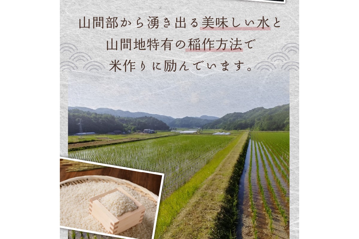 2025年産 京都・久美浜三谷産 丹後コシヒカリ「三谷幸米」 玄米 20kg　MM00020