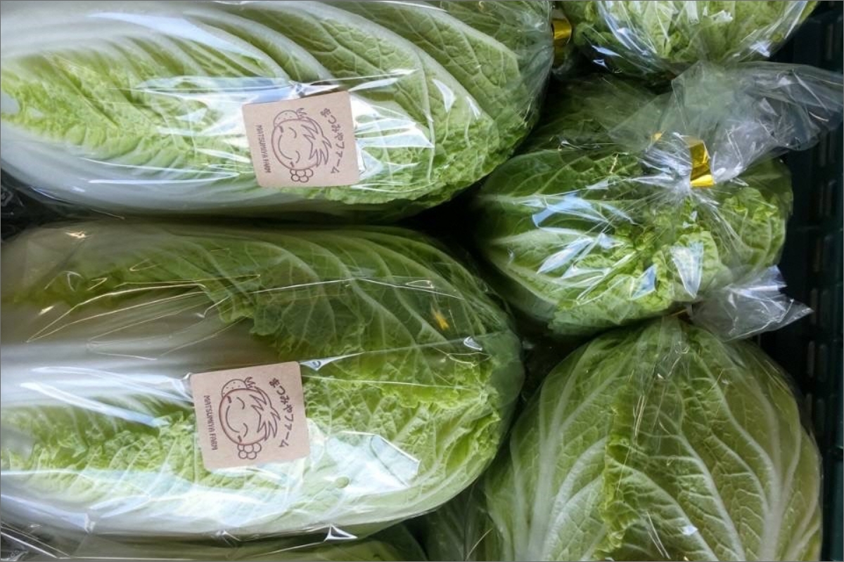 【先行予約】京都・まつみやファームの京都の野菜秋冬セット（5品）（2025年11月上旬〜発送）　MY00002