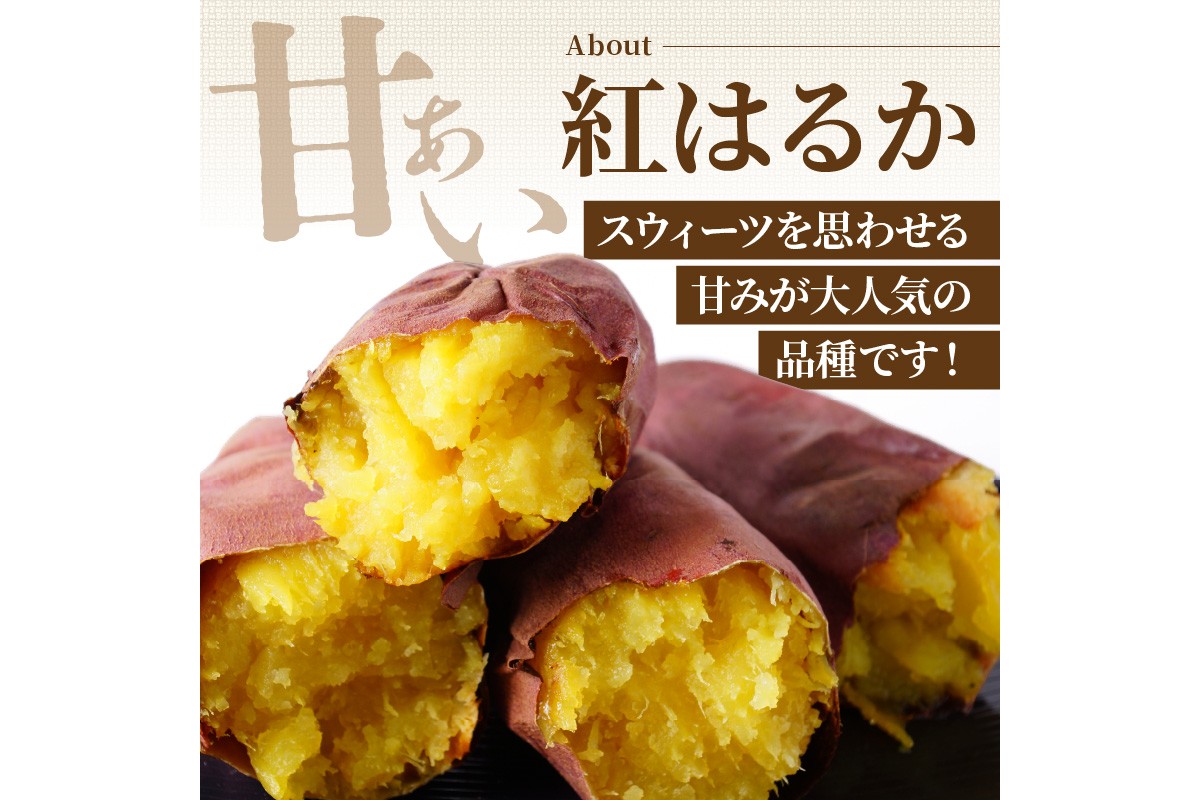 【先行予約】ホクホク美味しい！京丹後産 紅はるか 約1.5kg（土付き）（2026年10月上旬～発送）　MY00016