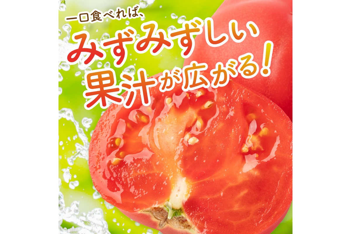 【先行予約】京丹後産 大玉トマト 1kg以上 春夏発送（2026年5月中旬～発送）　MY00013