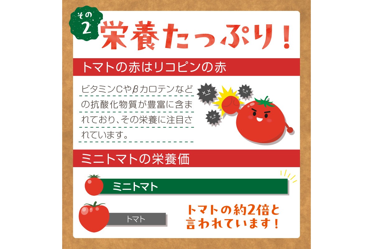 【2回定期便】京丹後産 訳あり 宝石のような輝き！カラフルミニトマト（2026年5月下旬～発送）　MY00015