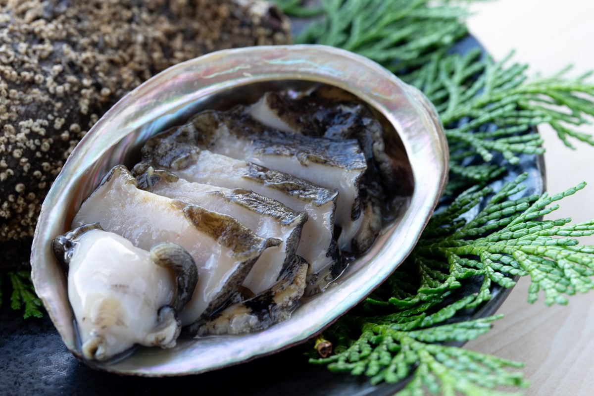 【数量限定】活黒あわび（養殖）　NA00002