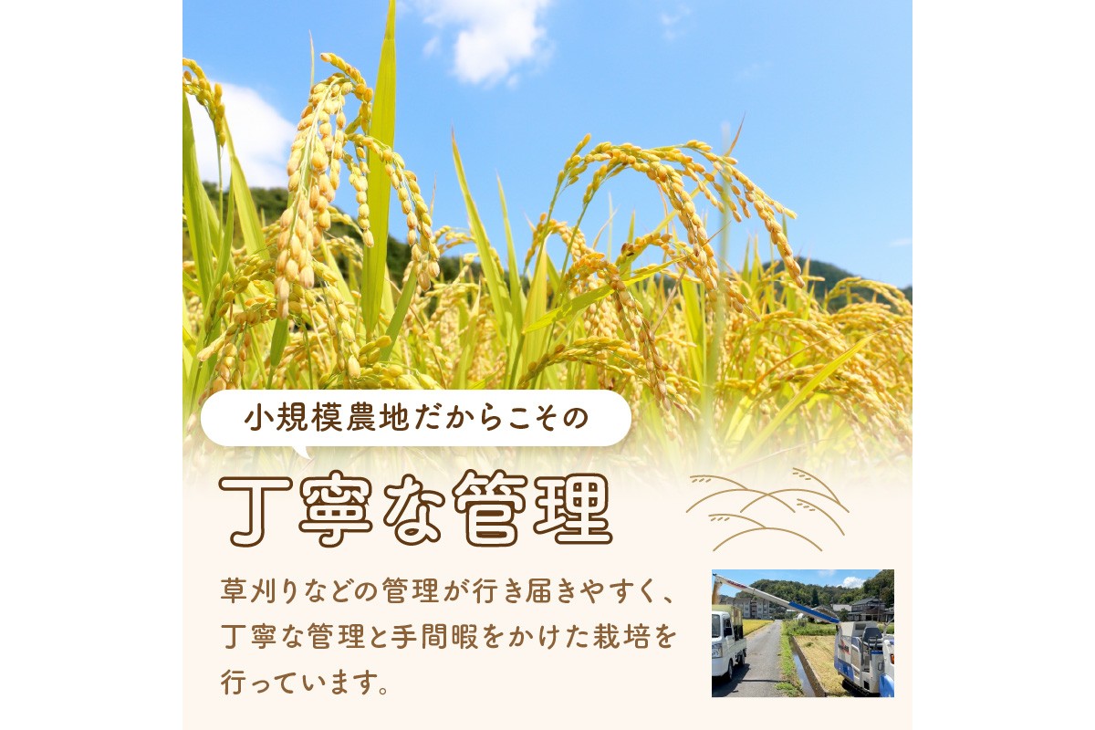 【先行予約】丹後弥栄産コシヒカリ（玄米10kg） コシヒカリ 玄米 おこめ おにぎり 京都産 お米 ふるさと納税 こしひかり　NF00006