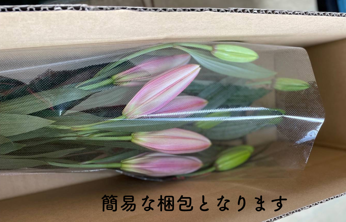 京丹後オリエンタルユリ　色お任せ5~6本（20～25輪）（2026年11月下旬～発送）　NG00012