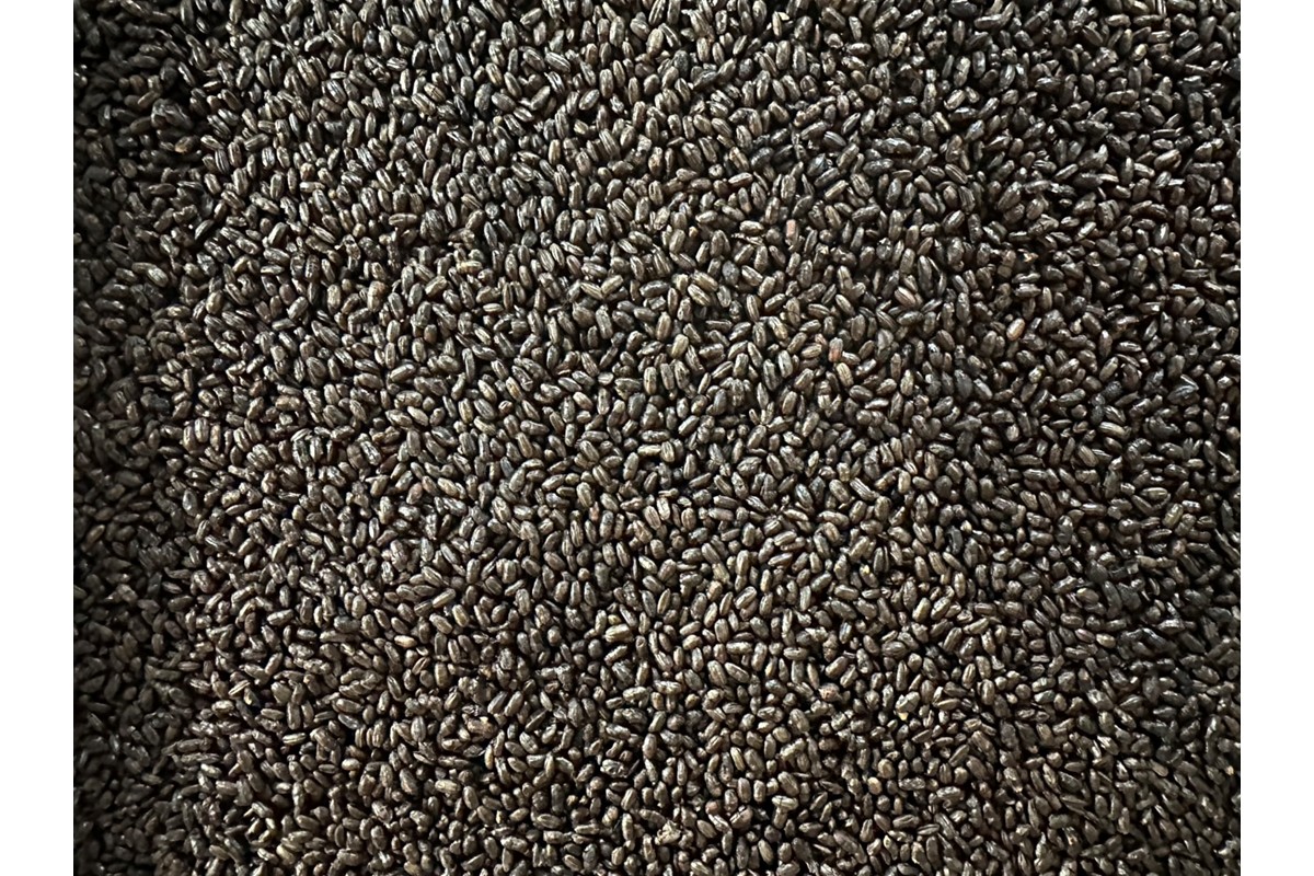 心と体に、じんわり染みわたる 京丹後の玄米ラテ「ターカラ」〈コーヒーテイスト〉　ON00002