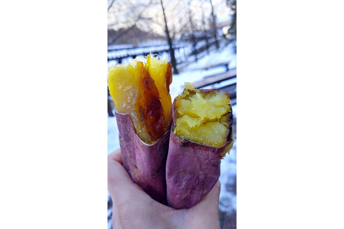 乙姫玉手箱　特製　ほし芋(130g×3袋)　京丹後産紅はるか使用　OT00001