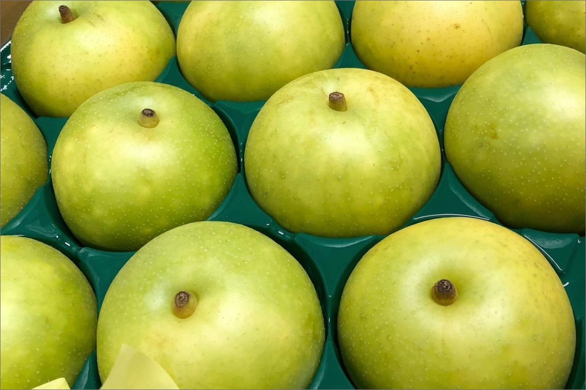 【先行予約】京丹後の梨ジュース 大瓶2本入り（2025年10月下旬～発送）　SF00016