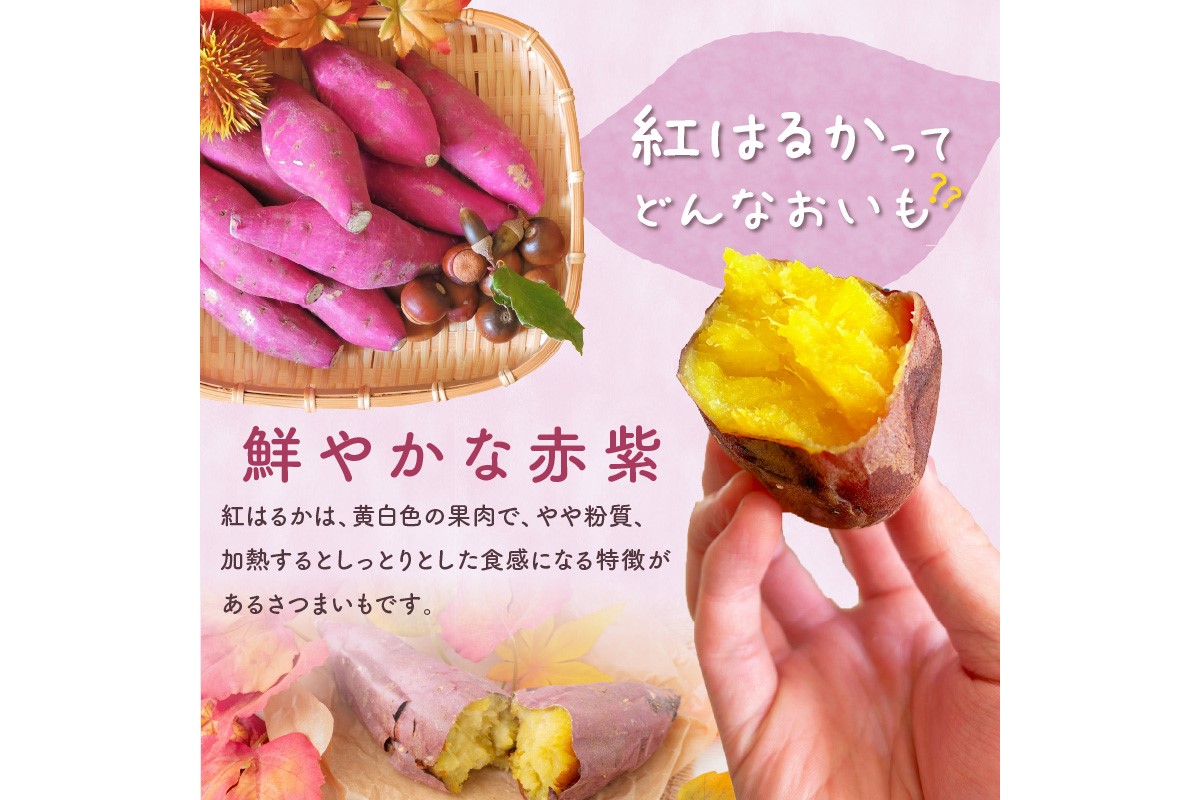 【数量限定50】農家直送 令和7年産　さつまいも3kgセット　SJ00008