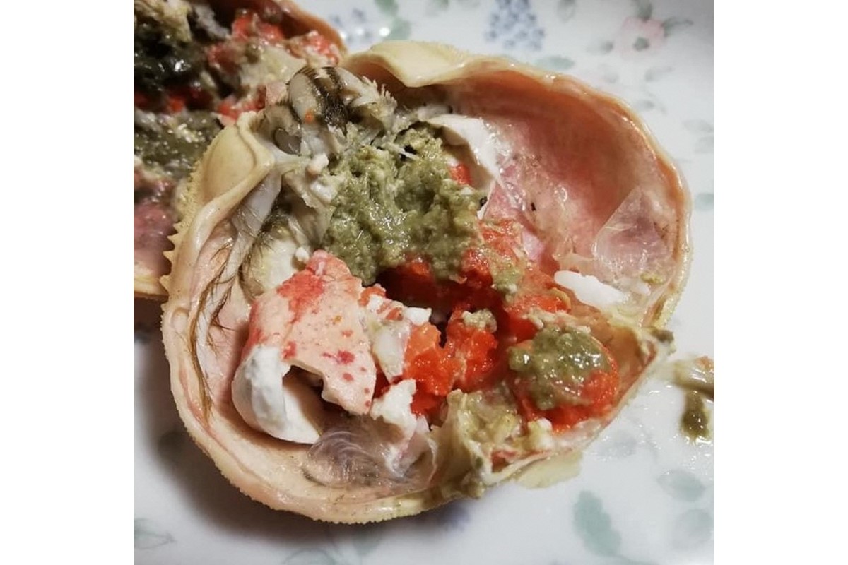 「訳あり」茹でセコガニ（コッペガニ）150g前後×2杯セット　SK00185