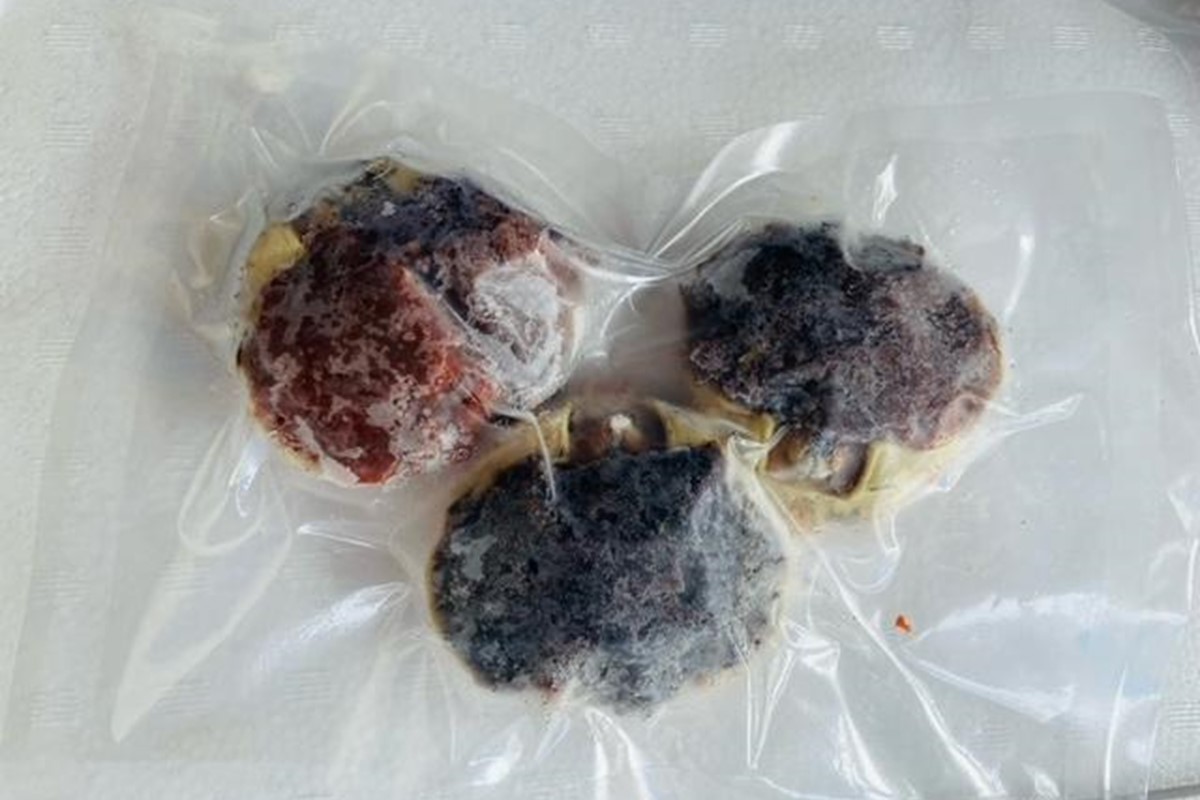 酒市の贅沢セイコガニの子宝盛　3個入　SK00179