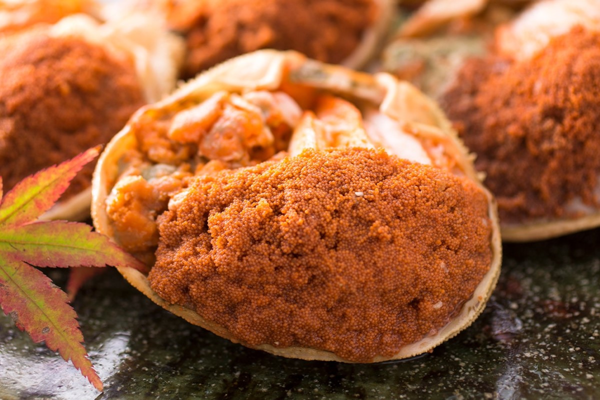 【創業明治元年　間人 炭平旅館の味】セイコ蟹のむき身甲羅盛り　5個セット【2026年発送】　SU00020