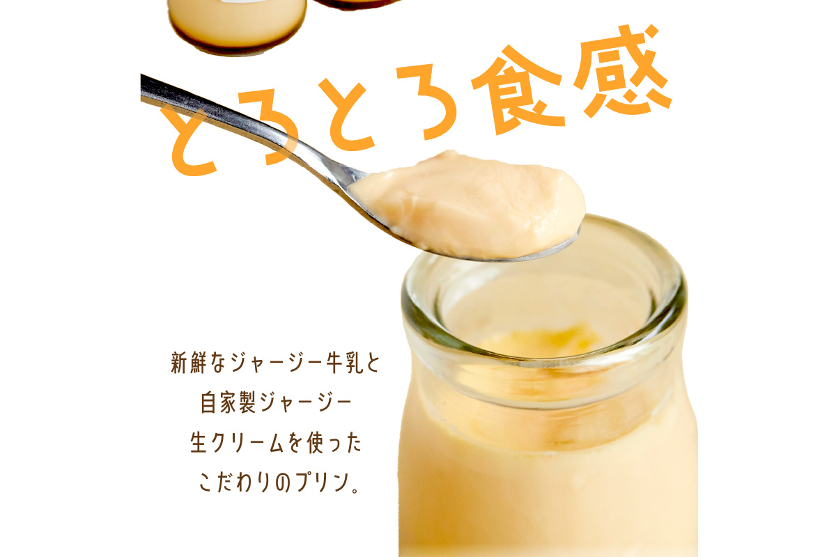 【牧場直営】搾りたての新鮮ミルク作るミルク工房そらの濃厚ジャージープリン　TJ00003