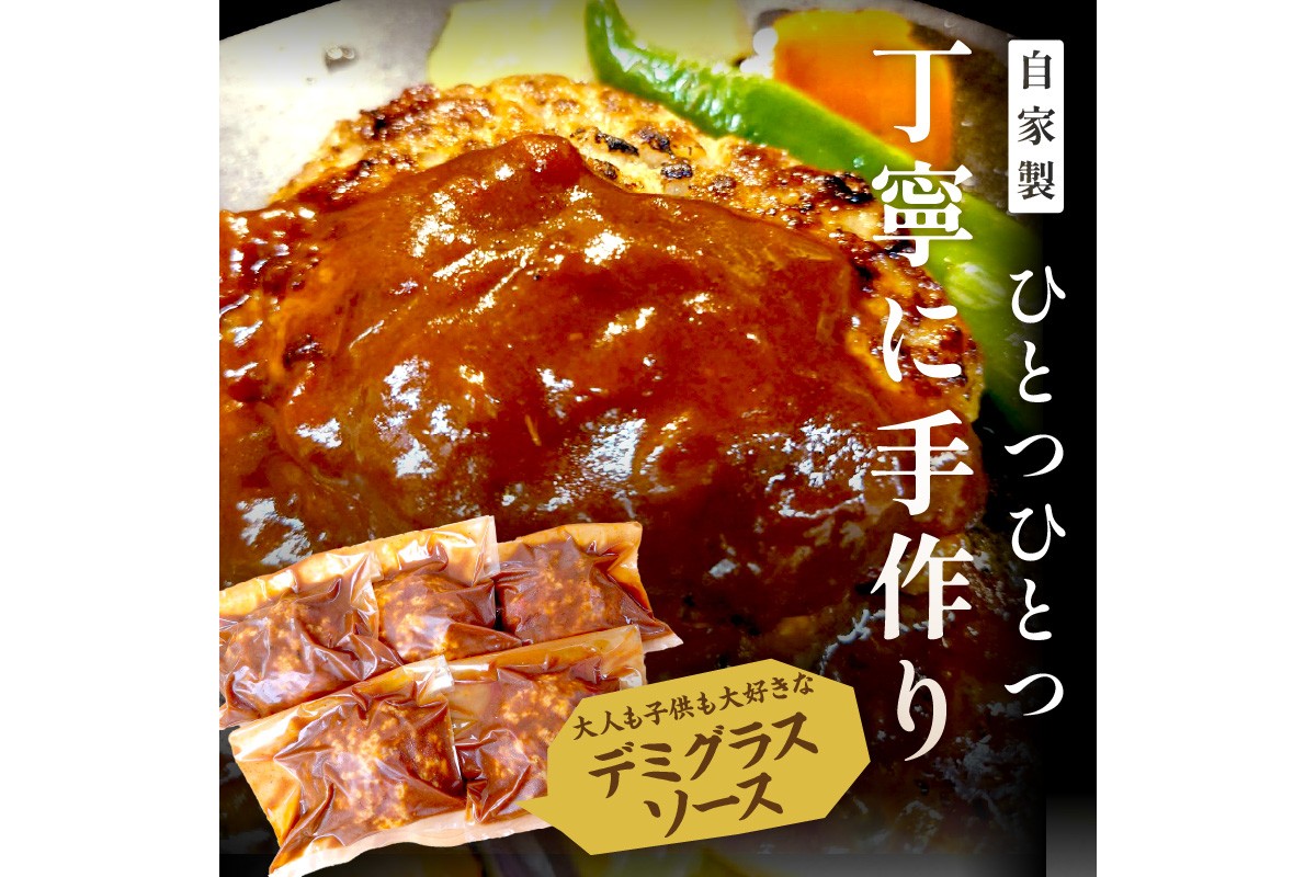 京都産三元豚ハンバーグ　6個セット　TN00022