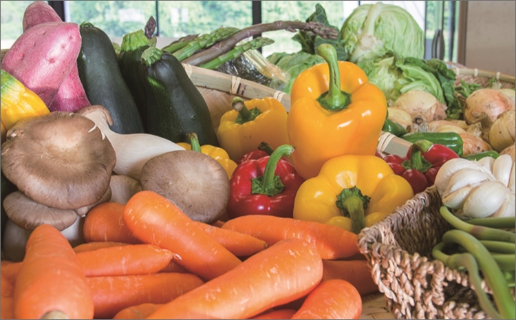 京丹後産・旬の野菜 5～8種詰め合わせ（小）　TO00082