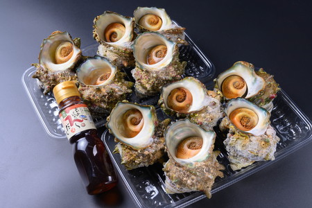 BBQに最適！　天然サザエ　ボイル済み　1.6K　小サイズ（22～30個）　※万能ダシ付き　UO00072