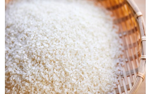 2026年産 丹後弥栄産コシヒカリ（玄米5kg）月1回×6ヵ月 ふるさと納税 お米 米 玄米 コシヒカリ 農家直送 丹後こしひかり ふるさと納税 玄米 定期便　WD00007