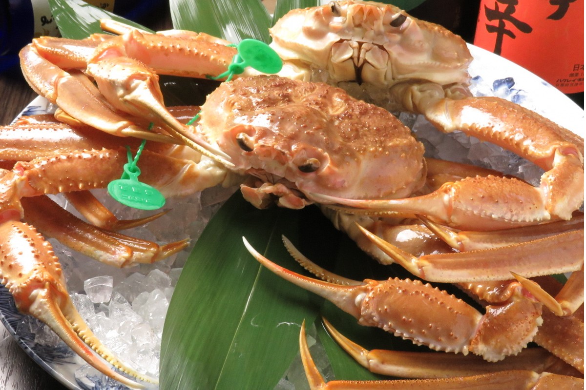 【幻のズワイ蟹】京丹後産 茹で間人蟹 鮮度抜群、釜茹でにてお届け！！ 800g級×1杯　YK00083