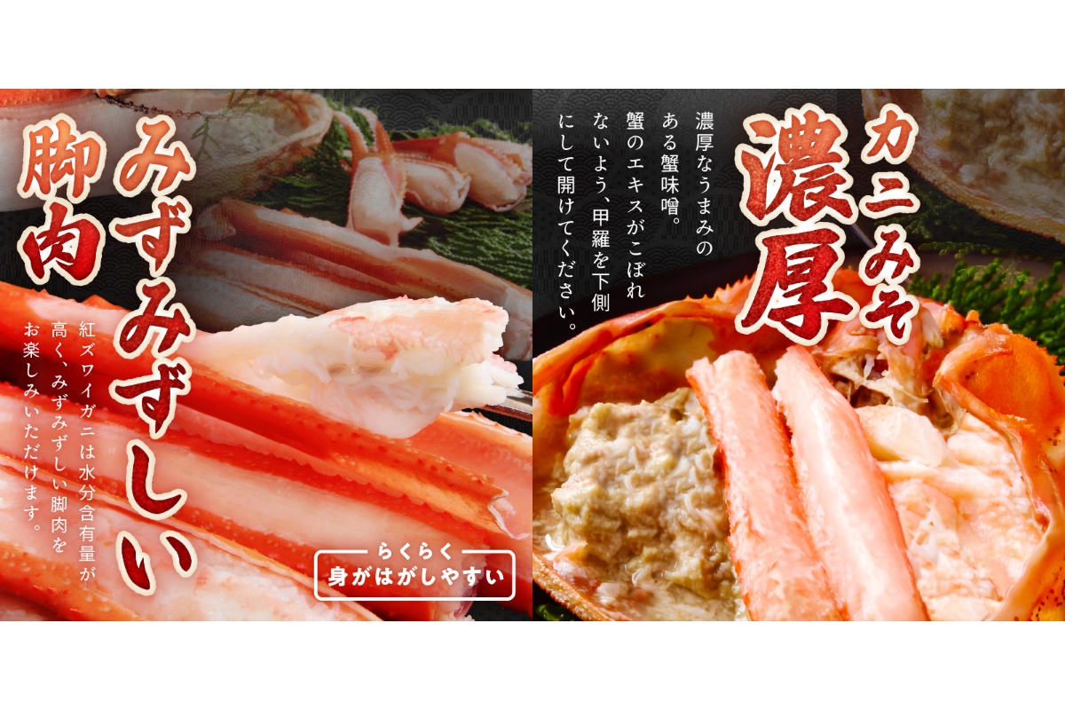 採れたて！釜茹で！　紅ズワイガニ　2杯　YK00577