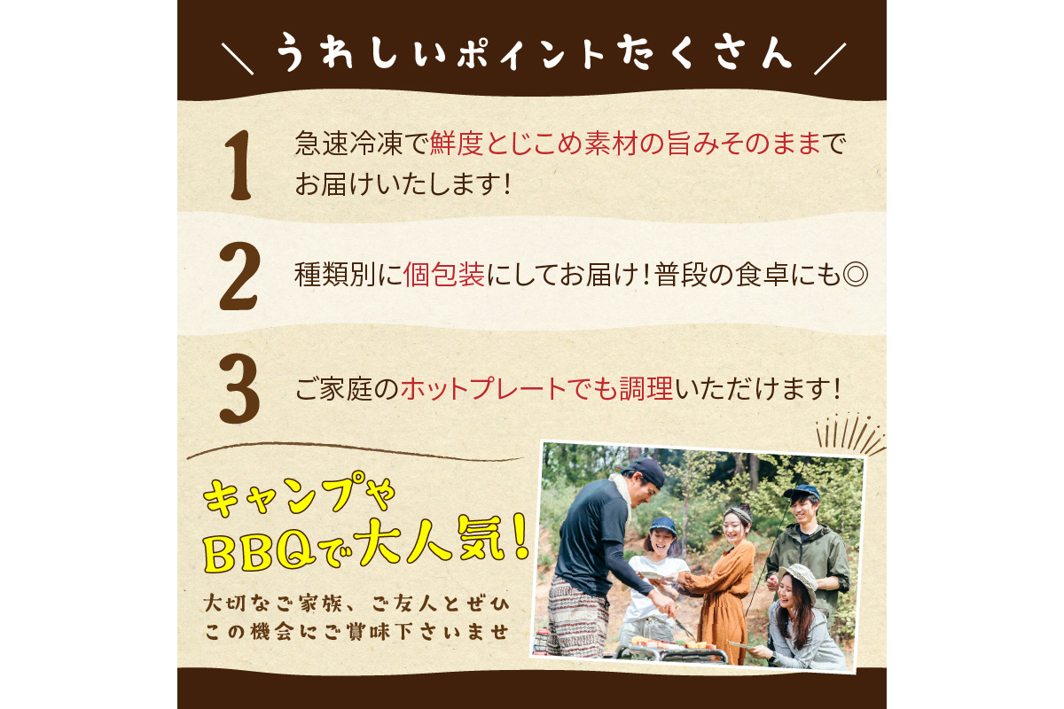 【先行予約】大好評！京丹後・海鮮BBQ　Gセット　大盛り生ズワイガニ　6種23品（4～5人前）（2026年4月中旬～発送）　YK00558