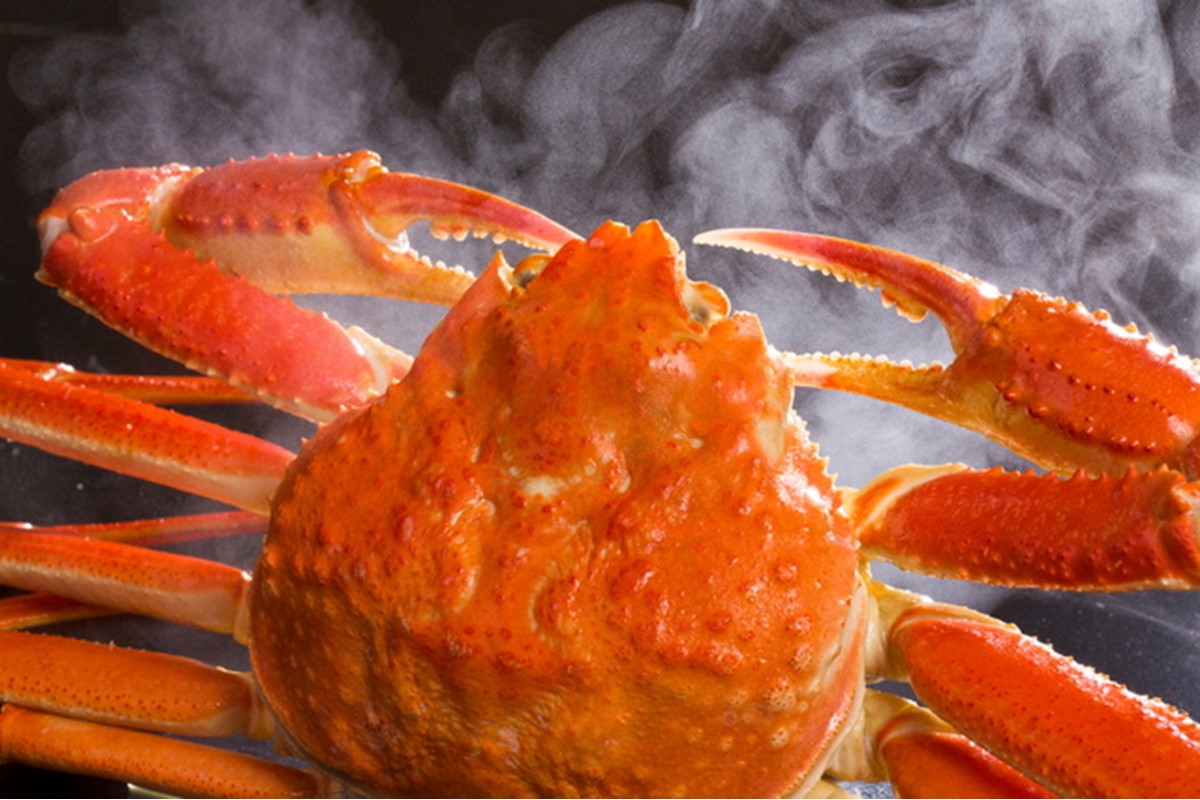 【先行予約】【厳選！タグ付きブランド蟹】茹で松葉かに（600g級×2杯）（2026年1月～発送）　YK00230