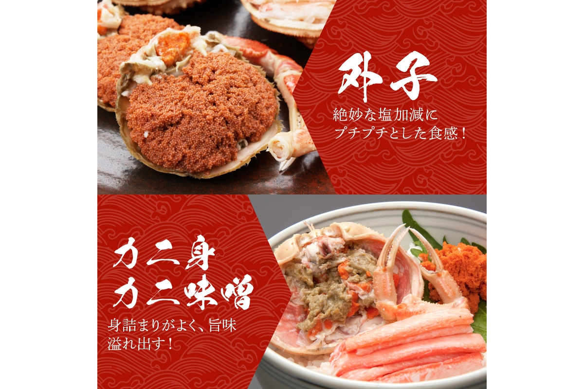 【期間エリア限定！訳あり】厳選！絶品！ 釜茹で セイコ蟹5杯　YK00429