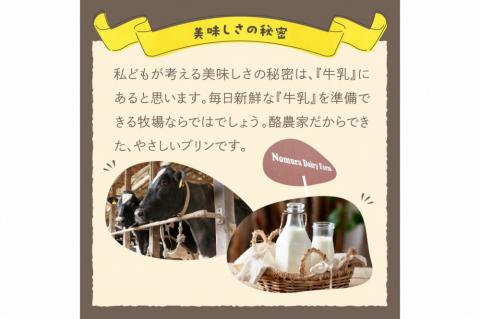 丹後の野村さんげの牧場プリンギフト（８個入り）　NM00010